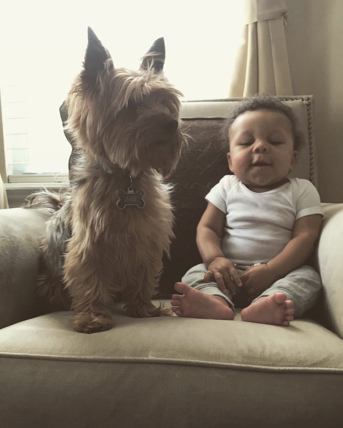 introducing your dog to your new baby