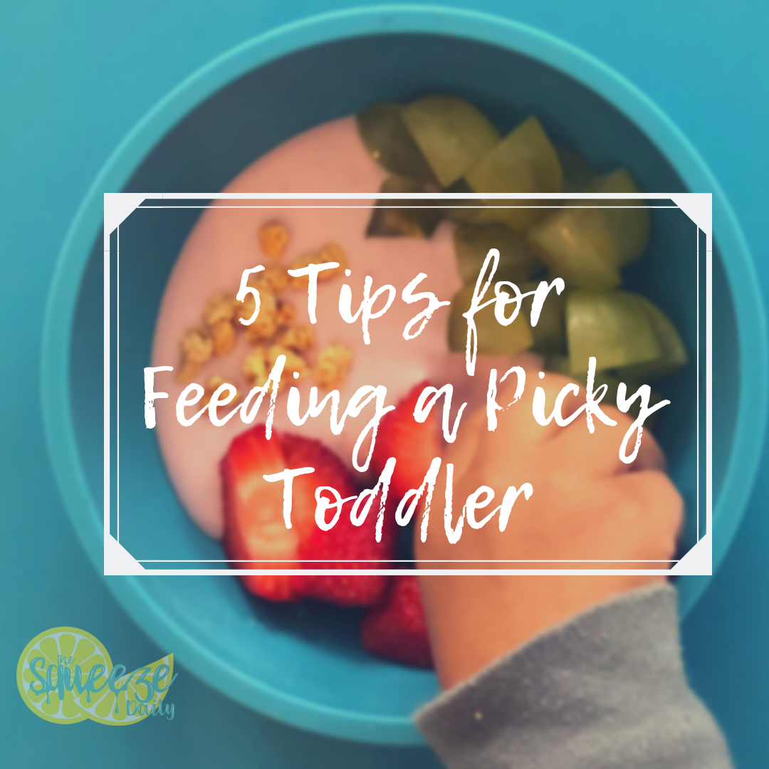 feeding a picky toddler